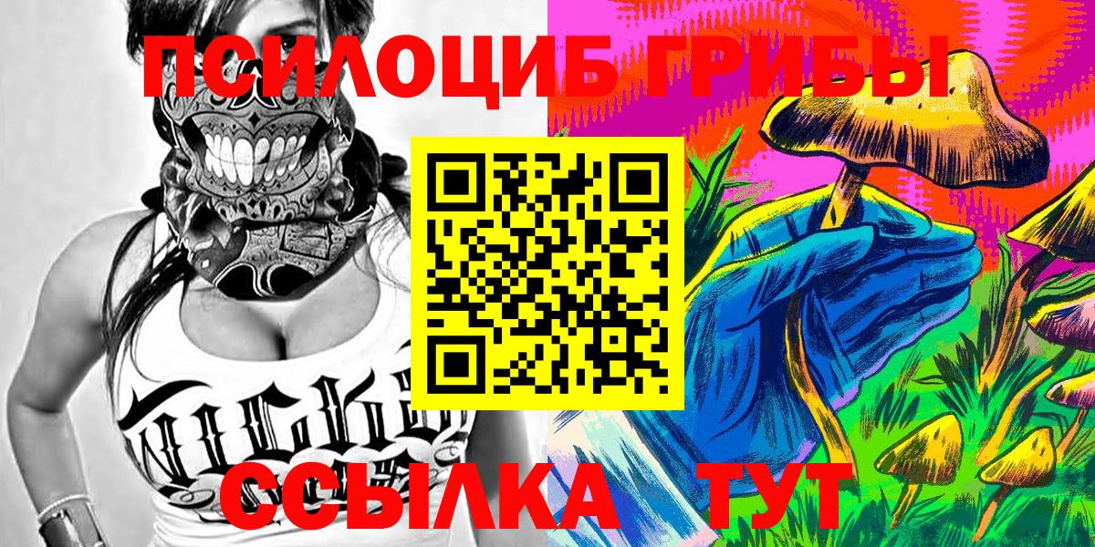 Галлюциногенные грибы Psilocybine cubensis  Псилоцибиновые грибы прущие грибы  Вход с VPN  Богданович 
