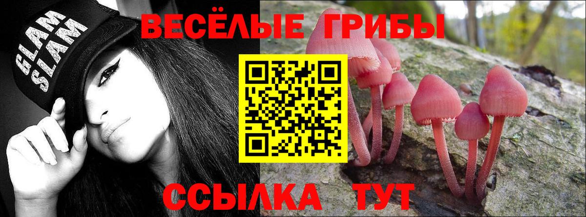 Псилоцибиновые грибы прущие грибы Богданович