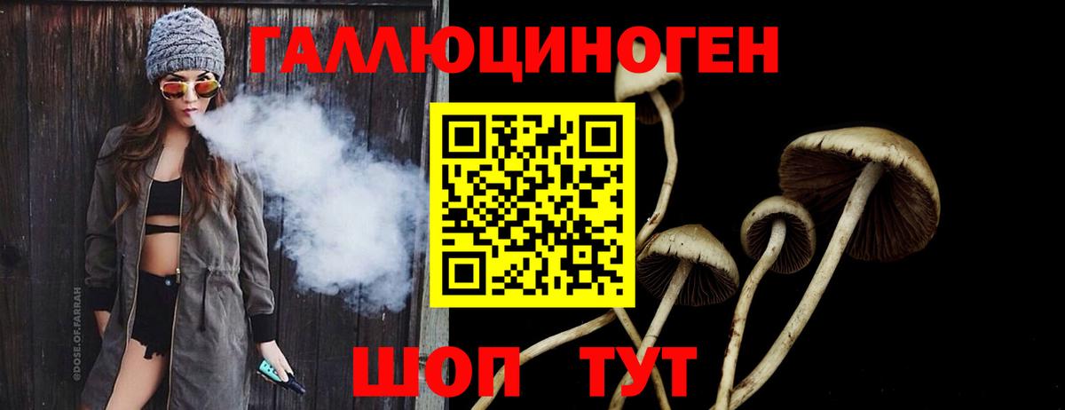 ГАШ  MDMA  Марихуана  Меф   Богданович  Вход с VPN  ГАШИШ  APVP СОЛЬ кристаллы  Как найти наркотики? 