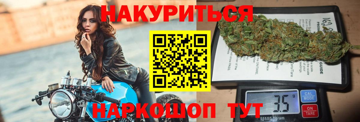 Канабис планчик  Вход с VPN  Каннабис семена  Богданович 